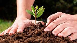 Brazil joins international initiative Living Soils