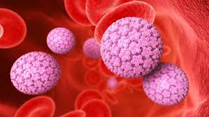 #Ficadica: Conhecendo um pouco mais do vírus HPV