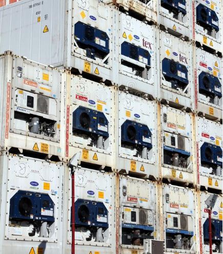 Armador expande frota de containers frigorificos